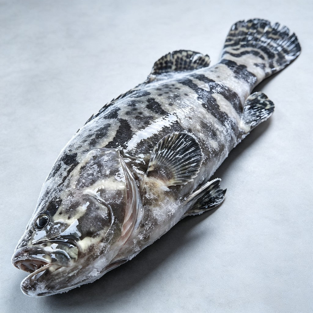 Grouper portions served on a platter