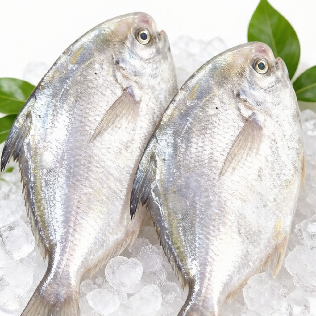 Pan-ready whole pomfret, silver skin intact
